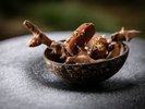 【フレンチディナー】大地の美しさを、デザートに表現。
