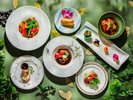 植物性の食材を使用したベジタリアン・ヴィーガンメニュー