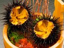 初夏の三陸を代表する味覚「ウニ」を堪能!!