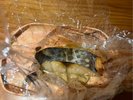 鰆のフィルム包み焼き