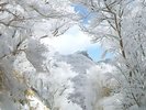 【冬の雲仙】幻想的な光を放つ仁田峠の霧氷。自然の美しさに圧倒されます。