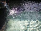 【泉質】150年も滾々と湧き続ける馬頭温泉