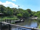 【当館から車で約10分】岸根公園
