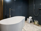 プレミアムサウナスイート バルコニー付き(サウナ用 水風呂)