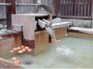 ����嗁�ꇀ�����燁�y��̓��I�V���C�z
