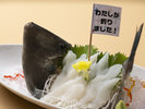 釣れた魚料理(ウマズラハギのお造り)