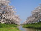 �ʑ�����X�𗬂��ʓ���͍��̖����Ȃ�ł�
