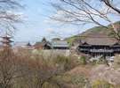 世界遺産の清水寺(徒歩15分)
