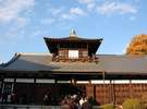 東福寺の紅葉(バスで10分)・・秋の紅葉スポット11月後半が一番の見頃!