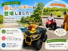 バギーが導入されました!