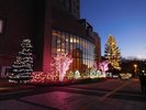 JR帯広駅北口前にて2025年11月29日〜2026年2月23日の16:00〜24:00まで点灯しております。