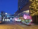 JR帯広駅北口前にて2025年11月29日〜2026年2月23日の16:00〜24:00まで点灯しております。