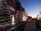 JR帯広駅北口前にて2025年11月29日〜2026年2月23日の16:00〜24:00まで点灯しております。