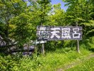 �厩�R�̒��̘I�V���C