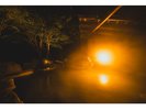 ��̎���̓��B���C�g�ɏƂ炳�ꂽ���ʂ�����˂̖����������o���܂��B