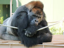◇東山動物園◇ 写真提供:(公財)名古屋観光コンベンションビューロー