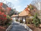 2024年11月OPEN★Dタイプ 外観