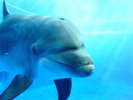 京都水族館:バスで約25分