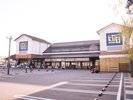 愛媛県の農畜産物や野菜、果物、精肉などの加工品やお菓子、パン、お土産などが豊富に揃う直売所です