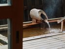 「ひのきの湯」露天風呂には塩分鉄分を多く含んだ「金泉」を備えております。