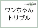 お部屋「ワンちゃんトリプル」