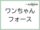 お部屋「ワンちゃんフォース」