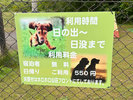【屋外ドッグラン】ご宿泊者はご利用無料です。広い敷地を走って旅路のストレスを発散!