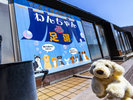 【ワンちゃん足湯】存分に遊んだ後はワンちゃんもリラックス&リフレッシュ