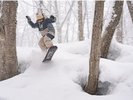 斑尾高原スキー場のツリーラン
