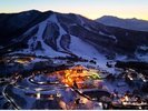 冬の斑尾は飲み歩き