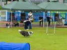 【ドッグパーク】愛犬が思いっきり遊べるスペースと、飼い主さんがリラックスできるエリアを完備。