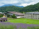 6月〜7月はラベンダーが咲き誇ります。