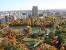 【中島公園】徒歩約20分