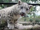 【円山動物園】
