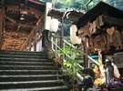 大自然横の路地を降りると”もみじ橋”があります