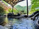 【混浴露天風呂 岩鏡】片品渓谷の眺めをお楽しみください