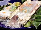 玄界灘で丁寧に釣り上げた銘柄イカ「一本槍」の活造り