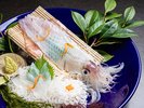 玄界灘で丁寧に釣り上げた銘柄イカ「一本槍」の活造り