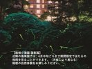 ホタル