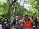 【森林・高原散策】国立公園内の自然豊かな散策道がたくさん