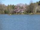 【軽井沢・塩沢】塩沢湖