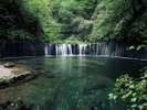 【旧軽井沢】白糸の滝