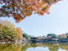 奈良公園 浮見堂(ホテルから車で25分):鷺池に浮かぶひわだぶき、八角堂形式(六角形)のお堂です