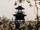唐古・鍵遺跡史跡公園(ホテルから車で15分):弥生時代の集落の遺跡で、遺構や土器などが出土しています