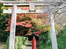夜都岐神社(ホテルから車で4分):春日大社の御祭神である四神を祀っており、春日神社とも呼ばれています