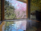 <西館>温泉半露天付 和洋室A 【ツインベッド】(川沿い)