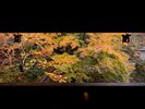 玄関棟と本館の間を流れる吉奈川を渡る「香風橋」(紅葉するモミジ/11月下旬〜12月上旬)