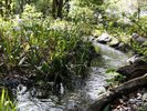 東府やに所縁のある徳川家康の側室「お万の方」の銅像がある「お万の庭」