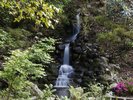 東府やに所縁のある徳川家康の側室「お万の方」の銅像がある「お万の庭」
