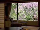 <西館>温泉半露天付 和洋室A 【ツインベッド】(川沿い) ※しだれ桜(4月上旬)